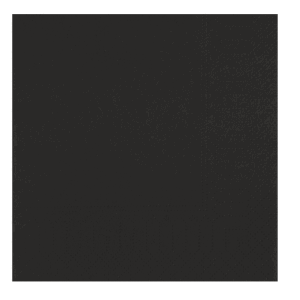 Servet tissue 24x24cm 2-laags zwart
