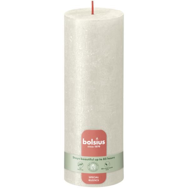 103667656805 bolsius rustiek kaars