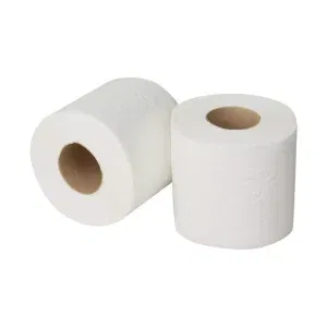 Toiletpapier traditioneel cellulose eco 2-laags 200 vel